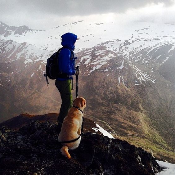 man and dog on mountain